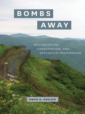 cover image of Bombs Away